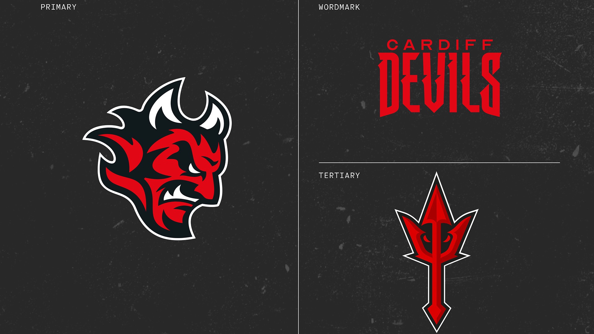 Blues Electrical sign on as new Title Sponsors :: Cardiff Devils