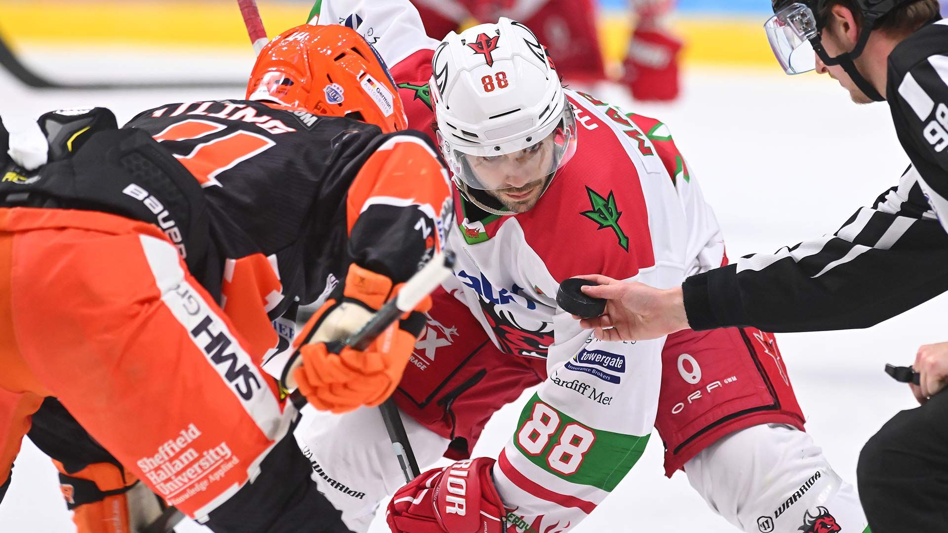 faceoff-martin-at-sheffield-feb-5th.jpg