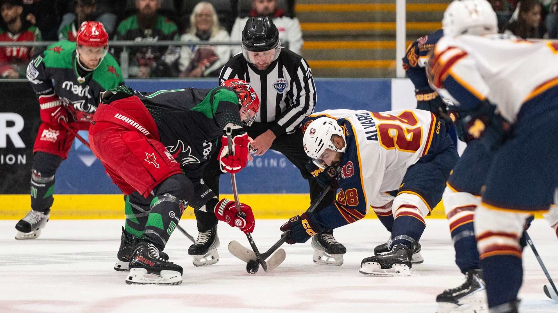 faceoff-v-guildford-sep-19-2025-JA.jpg